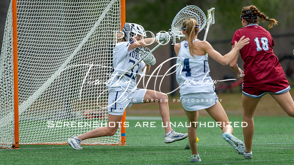 Nobles GLax vs Exeter 2025_2025-04-19_03-32-24_DT7T4939_@TimCardew_2025