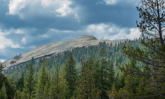 Yosemite National Park 2025_2025-08-16_06-35-23_DT7T2804_@TimCardew_2025