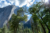 Yosemite National Park 2025_2025-08-17_07-14-40_AB5W6589_@TimCardew_2025