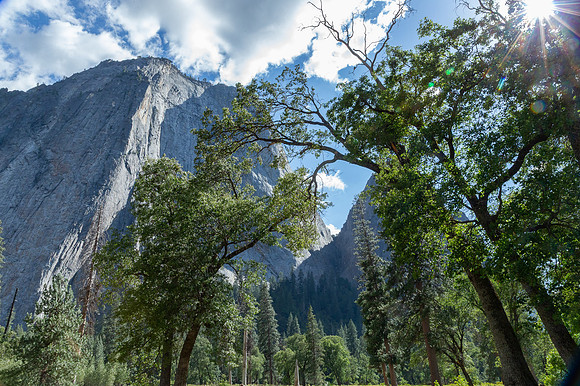 Yosemite National Park 2025_2025-08-17_07-14-40_AB5W6589_@TimCardew_2025