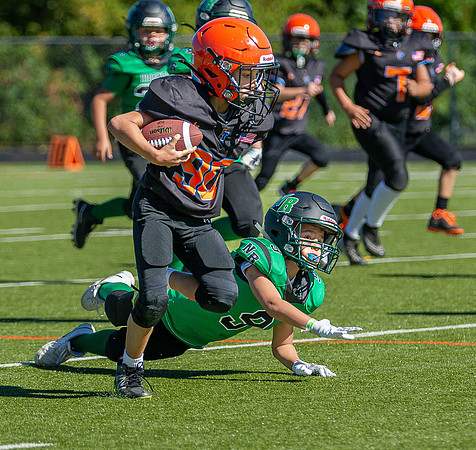North Reading Youth Football & Cheerleaders vs Ipswich Tigers 2024_2024-09-08_10-10-32_IM1D9933_@TimCardew_2024