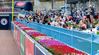 WooSox vs Scranton MiLB AAA 2025_2025-07-20_01-01-37_IM1D2005_@TimCardew_2025