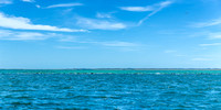 Nantucket Fall Fishing 2025_2025-09-21_11-01-52_AB5W9376_@TimCardew_2025-Edit