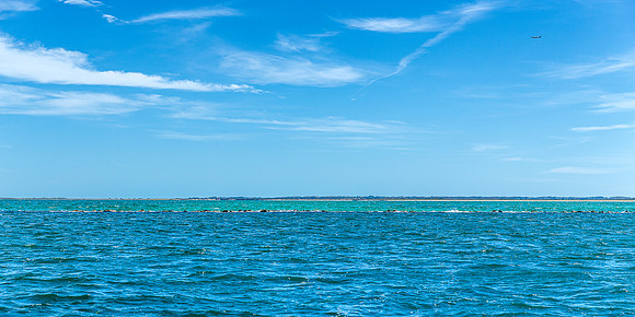 Nantucket Fall Fishing 2025_2025-09-21_11-01-52_AB5W9376_@TimCardew_2025-Edit