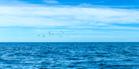 Nantucket Fall Fishing 2025_2025-09-21_11-37-16_AB5W9382_@TimCardew_2025