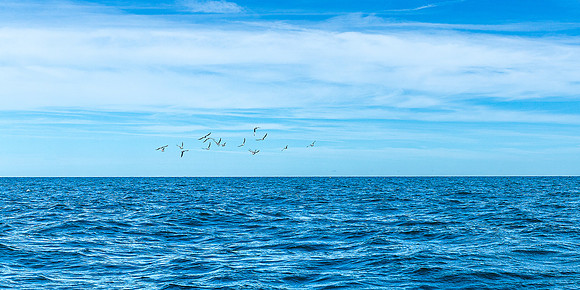 Nantucket Fall Fishing 2025_2025-09-21_11-37-16_AB5W9382_@TimCardew_2025