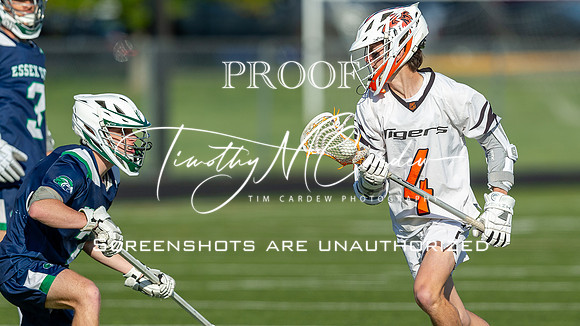 Ipswich BLax vs Essex Tech 2025_2025-05-13_05-34-18_DT7T4050_@TimCardew_2025