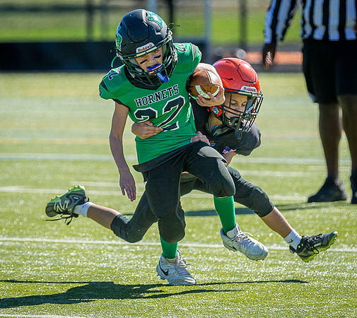 North Reading Youth Football & Cheerleaders vs Ipswich Tigers 2024_2024-09-08_10-14-32_IM1D0067_@TimCardew_2024