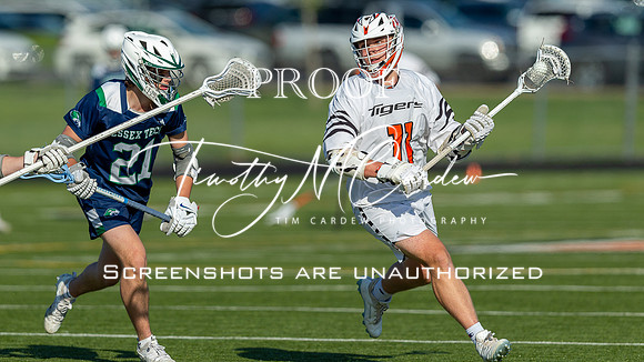 Ipswich BLax vs Essex Tech 2025_2025-05-13_05-32-50_DT7T3992_@TimCardew_2025