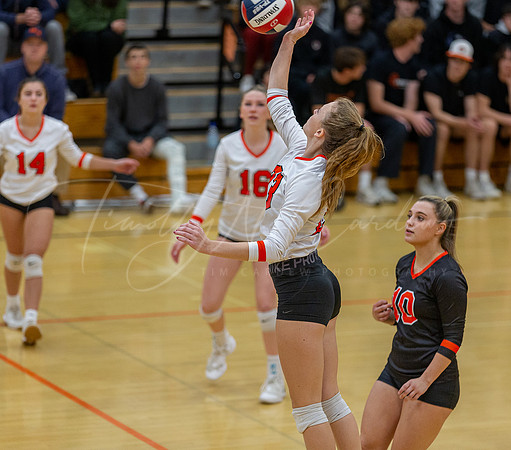 Ipswich vs Advanced Math & Science Girls HS Volleyball Game 2022 D4 Round of 16_2022-11-08_06-40-37_AB5W3913_@TimCardew_2022