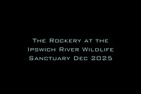 The Rockery at the Ipswich River Wildlife Sanctuary Dec 2025