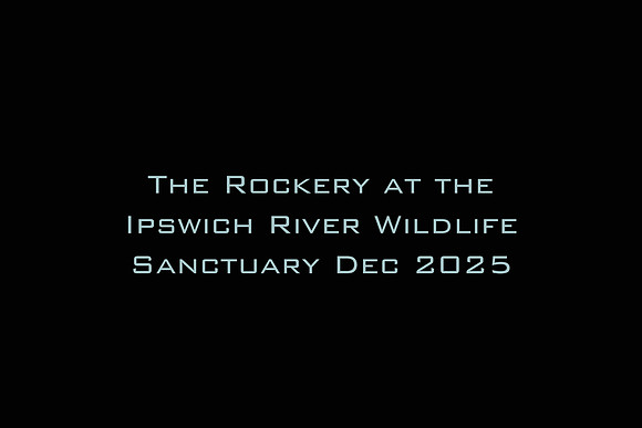 The Rockery at the Ipswich River Wildlife Sanctuary Dec 2025