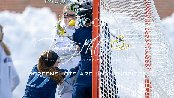 UNH Wildcats vs Quinnipiac Bobcats WLax 2026_2026-02-22_12-33-19_311A9787_@TimCardew_2026