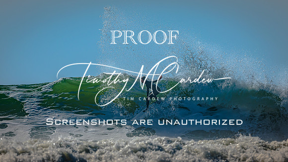 Rincon Classic 2026_2026-02-07_10-21-01_1K7A0907_@TimCardew_2026
