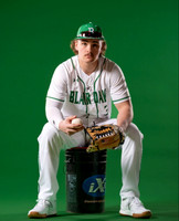 Baseball Poses