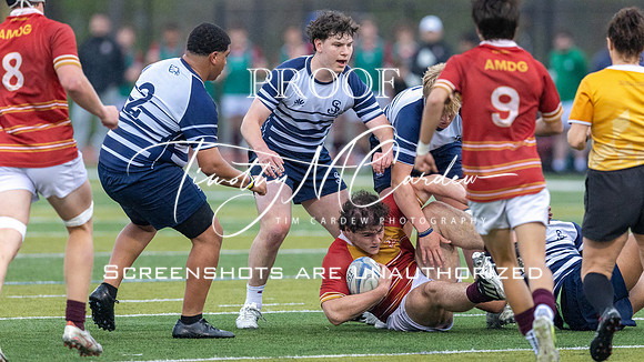 St. John’s Prep Rugby vs BC High 2026_2026-05-06_05-56-45_1K7A3586_@TimCardew_2026