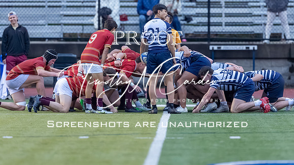 St. John’s Prep Rugby vs BC High 2026_2026-05-06_06-48-35_1K7A4385_@TimCardew_2026