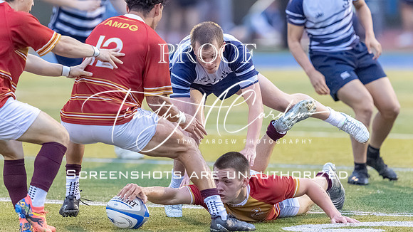 St. John’s Prep Rugby vs BC High 2026_2026-05-06_06-52-09_1K7A4476_@TimCardew_2026-2