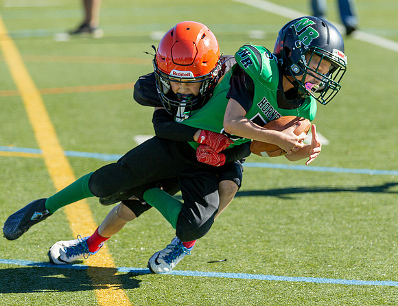 North Reading Youth Football & Cheerleaders vs Ipswich Tigers 2024_2024-09-08_09-33-34_IM1D9516_@TimCardew_2024