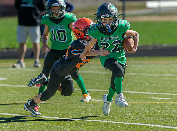 North Reading Youth Football & Cheerleaders vs Ipswich Tigers 2024_2024-09-08_09-52-21_IM1D9644_@TimCardew_2024