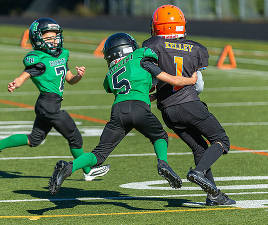 North Reading Youth Football & Cheerleaders vs Ipswich Tigers 2024_2024-09-08_09-26-46_IM1D9330_@TimCardew_2024