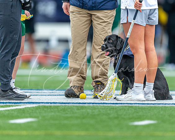 University of New Hampshire vs Binghamton Women’s Lacrosse Game_2023-03-25_01-03-23_DT7T9425_@TimCardew_2023