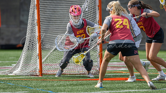 USC WLax vs Harvard, Boston College & ASU 2026_2026-10-10_01-31-57_0X4A3256_@TimCardew_2026