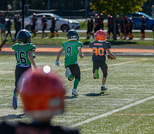 North Reading Youth Football & Cheerleaders vs Ipswich Tigers 2024_2024-09-08_09-56-10_IM1D9773_@TimCardew_2024