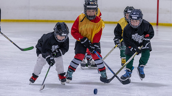 North Reading Youth Hockey 2026_2026-10-04_07-11-39_311A7392_@TimCardew_2026