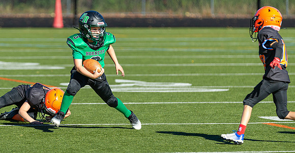 North Reading Youth Football & Cheerleaders vs Ipswich Tigers 2024_2024-09-08_09-17-37_IM1D9183_@TimCardew_2024