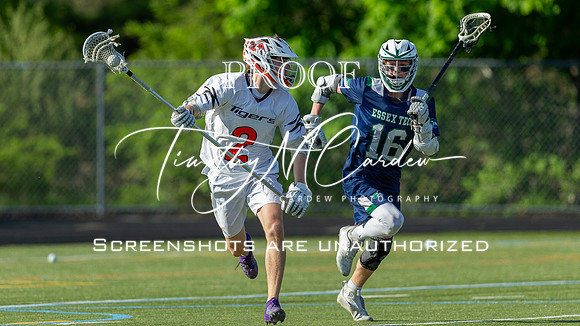 Ipswich BLax vs Essex Tech 2025_2025-05-13_05-04-30_DT7T3343_@TimCardew_2025