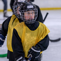 North Reading Youth Hockey 2026_2026-10-04_07-11-12_311A7382_@TimCardew_2026