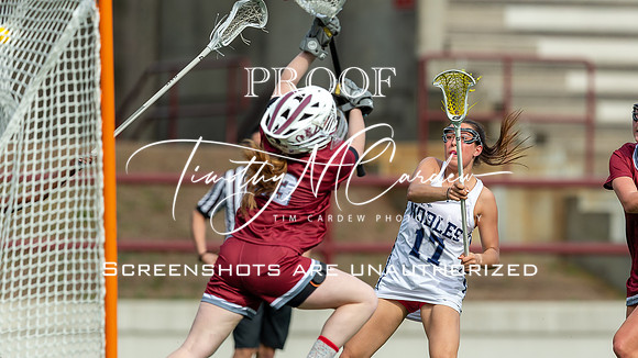 Nobles GLax vs Exeter 2025_2025-04-19_04-23-37_DT7T5830_@TimCardew_2025