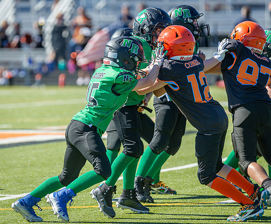 North Reading Youth Football & Cheerleaders vs Ipswich Tigers 2024_2024-09-08_10-01-40_IM1D9823_@TimCardew_2024