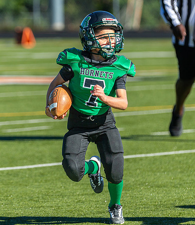 North Reading Youth Football & Cheerleaders vs Ipswich Tigers 2024_2024-09-08_09-22-39_IM1D9237_@TimCardew_2024