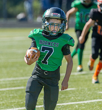 North Reading Youth Football & Cheerleaders vs Ipswich Tigers 2024_2024-09-08_10-00-28_IM1D9798_@TimCardew_2024