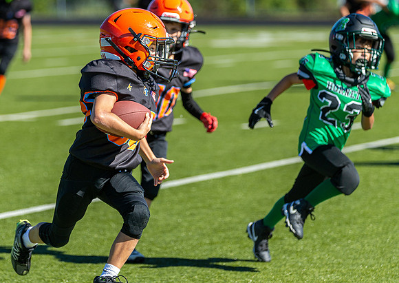 North Reading Youth Football & Cheerleaders vs Ipswich Tigers 2024_2024-09-08_09-56-04_IM1D9752_@TimCardew_2024