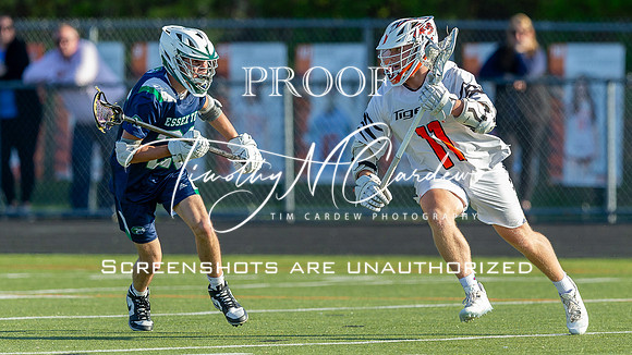 Ipswich BLax vs Essex Tech 2025_2025-05-13_05-58-34_DT7T4580_@TimCardew_2025