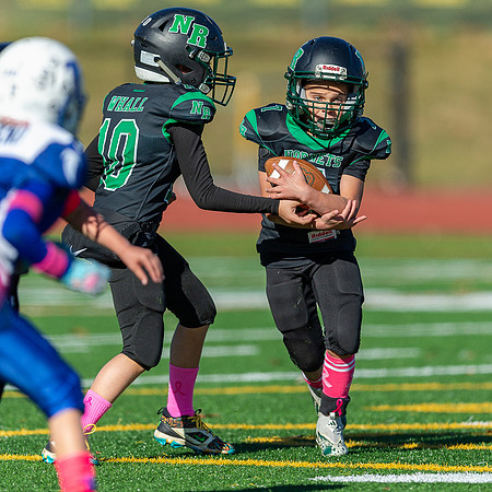 North Reading Youth Football & Cheerleaders vs Danvers Falcons 2024_2024-10-27_10-57-34_DT7T5705_@TimCardew_2024
