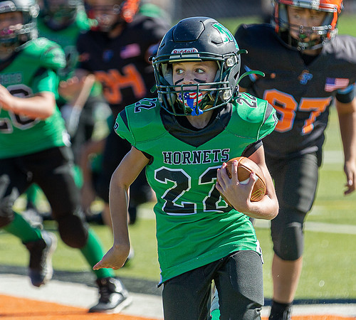 North Reading Youth Football & Cheerleaders vs Ipswich Tigers 2024_2024-09-08_09-52-26_IM1D9658_@TimCardew_2024