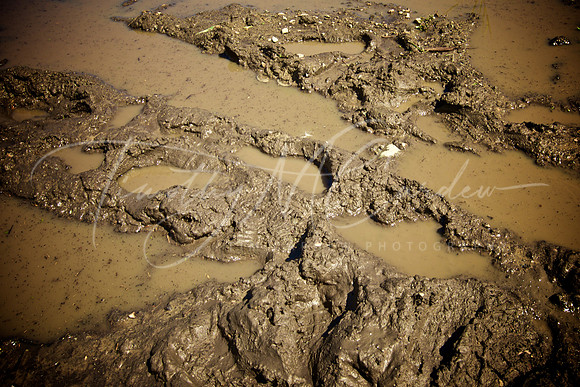 MuddyLep_2017-09-09_12-46-58_IM5_3958_©TimCardew_2017