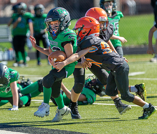 North Reading Youth Football & Cheerleaders vs Ipswich Tigers 2024_2024-09-08_09-52-23_IM1D9646_@TimCardew_2024