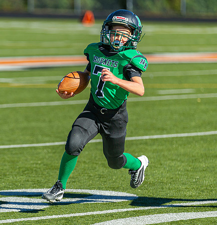 North Reading Youth Football & Cheerleaders vs Ipswich Tigers 2024_2024-09-08_09-22-40_IM1D9243_@TimCardew_2024