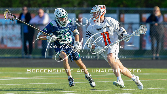 Ipswich BLax vs Essex Tech 2025_2025-05-13_05-58-35_DT7T4581_@TimCardew_2025