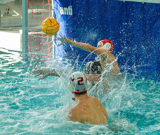 St. John’s Prep Water Polo vs Philips Exeter Academy Fall 2023_2023-09-27_03-30-57_AB5W5839_@TimCardew_2023