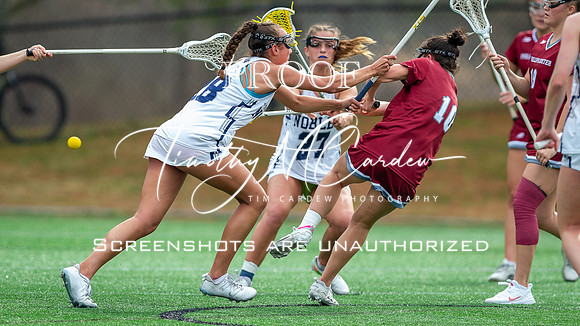 Nobles GLax vs Exeter 2025_2025-04-19_03-40-48_DT7T5219_@TimCardew_2025