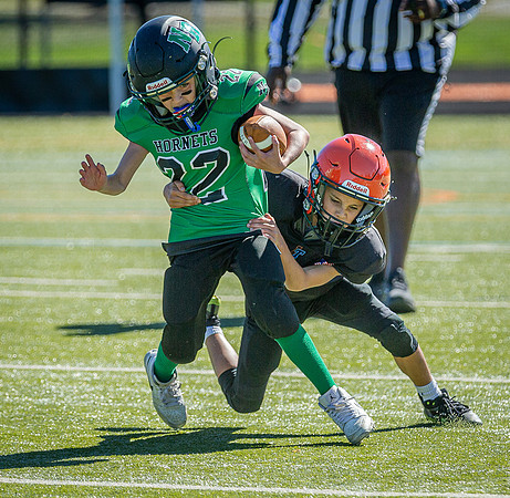 North Reading Youth Football & Cheerleaders vs Ipswich Tigers 2024_2024-09-08_10-14-32_IM1D0068_@TimCardew_2024