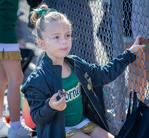 North Reading Youth Football & Cheerleaders vs Ipswich Tigers 2024_2024-09-08_10-21-51_IM1D0116_@TimCardew_2024