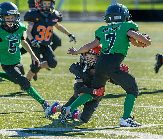 North Reading Youth Football & Cheerleaders vs Ipswich Tigers 2024_2024-09-08_09-06-58_IM1D9094_@TimCardew_2024