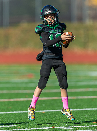 North Reading Youth Football & Cheerleaders vs Danvers Falcons 2024_2024-10-27_10-56-41_DT7T5687_@TimCardew_2024